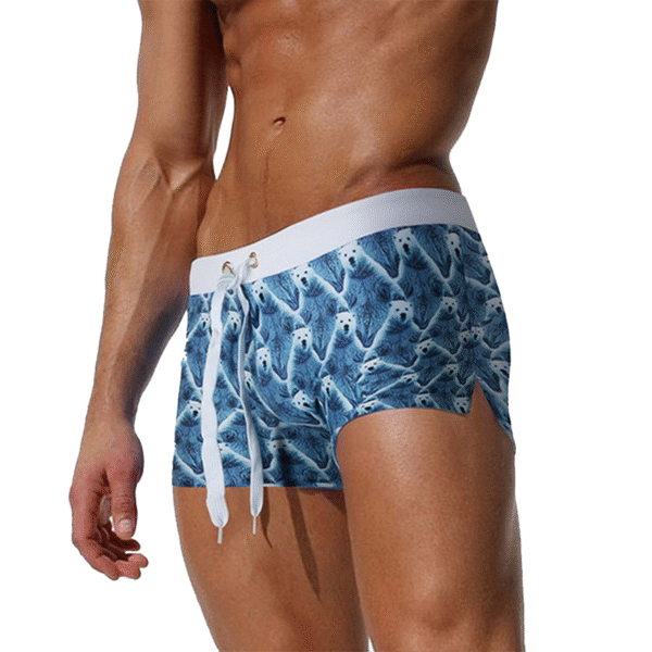 Swim Trunks Swimsuits Beach Shorts
